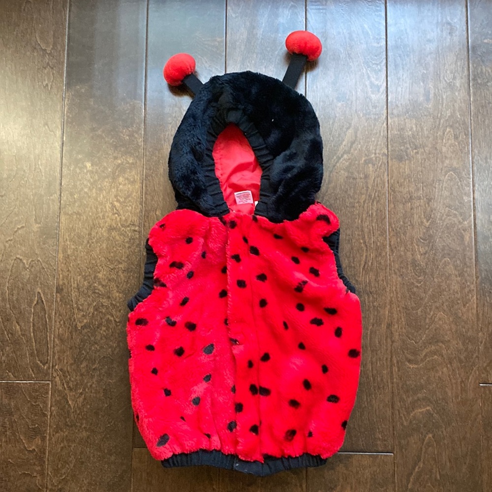 Plush Lady bug costume size 12-24 months